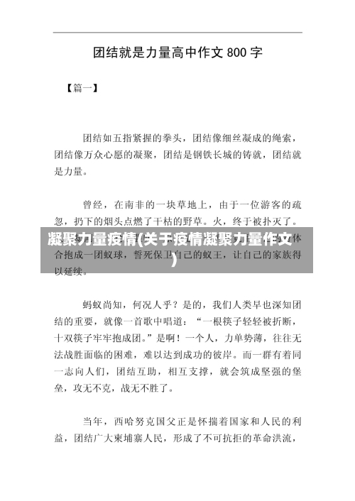 凝聚力量疫情(关于疫情凝聚力量作文)-第3张图片