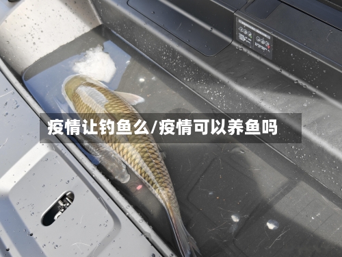 疫情让钓鱼么/疫情可以养鱼吗