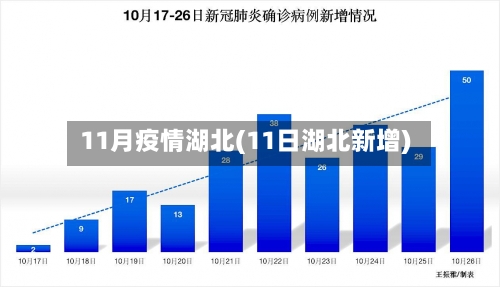 11月疫情湖北(11日湖北新增)