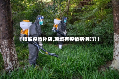 【项城疫情孙店,项城有疫情病例吗?】