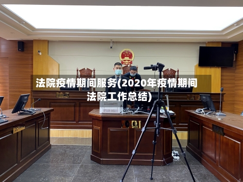 法院疫情期间服务(2020年疫情期间法院工作总结)-第3张图片