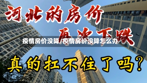 疫情房价没降/疫情房价没降怎么办-第3张图片