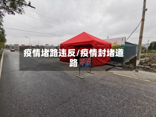 疫情堵路违反/疫情封堵道路