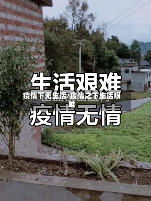 疫情下无生活/疫情之下生活艰难-第2张图片