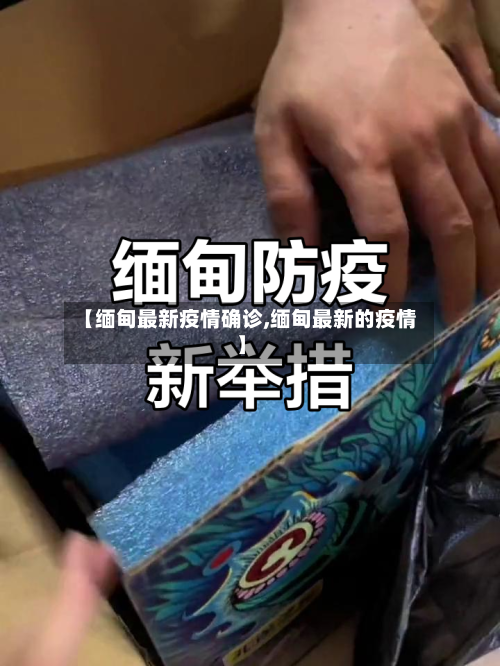 【缅甸最新疫情确诊,缅甸最新的疫情】-第2张图片