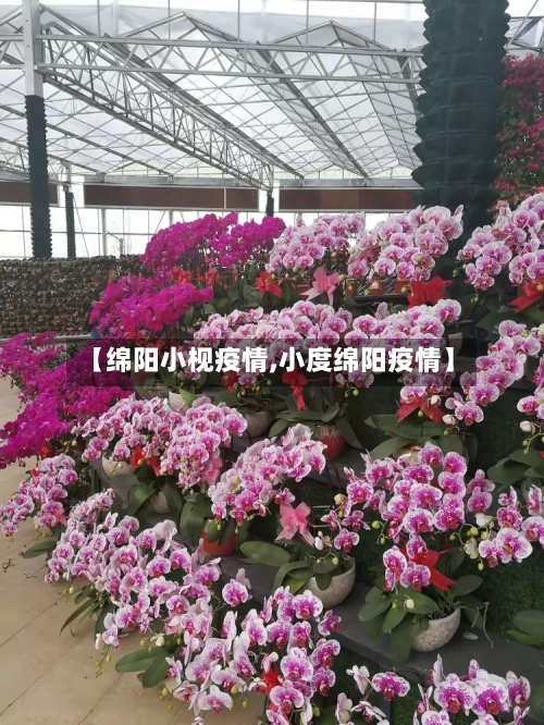 【绵阳小枧疫情,小度绵阳疫情】-第2张图片