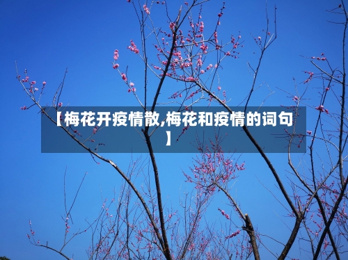 【梅花开疫情散,梅花和疫情的词句】-第3张图片