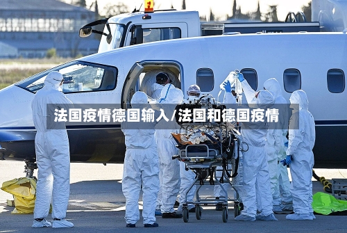 法国疫情德国输入/法国和德国疫情-第2张图片