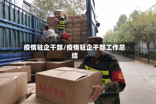 疫情驻企干部/疫情驻企干部工作总结