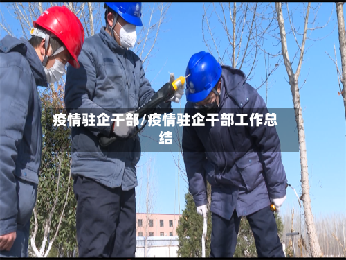 疫情驻企干部/疫情驻企干部工作总结-第2张图片