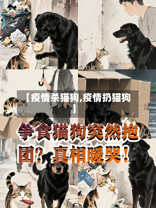 【疫情杀猫狗,疫情扔猫狗】-第2张图片