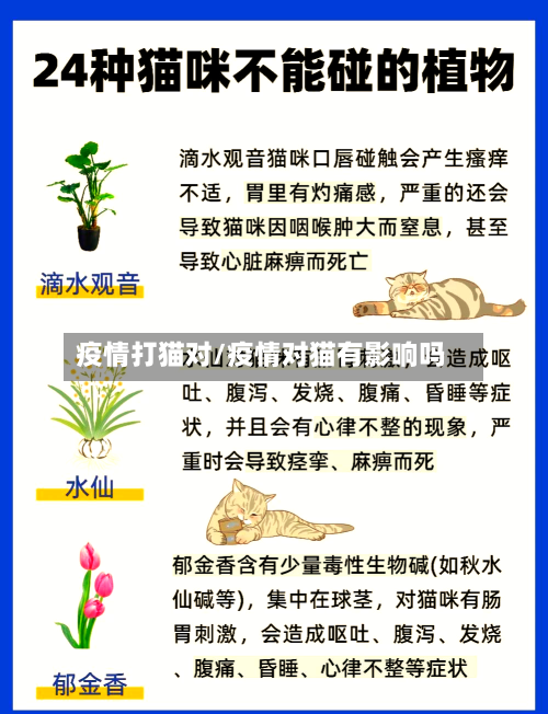 疫情打猫对/疫情对猫有影响吗