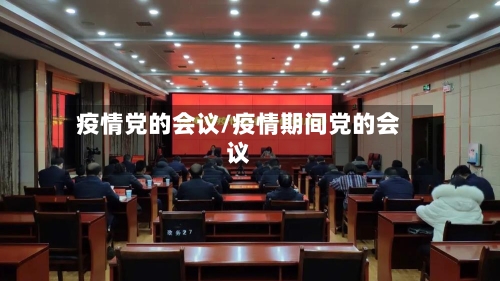 疫情党的会议/疫情期间党的会议-第3张图片