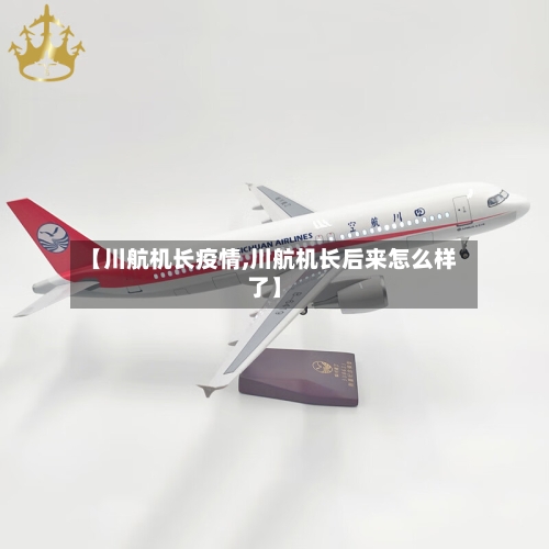 【川航机长疫情,川航机长后来怎么样了】
