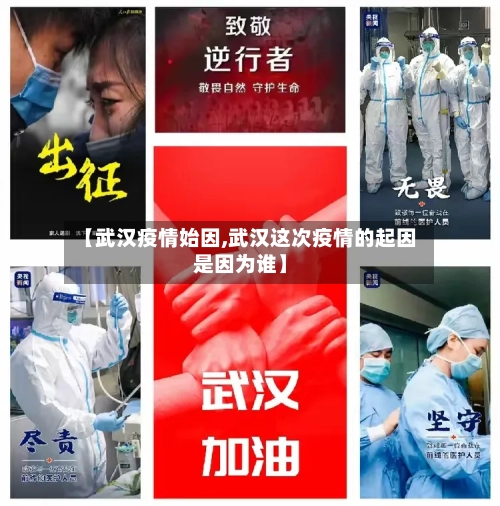 【武汉疫情始因,武汉这次疫情的起因是因为谁】-第2张图片