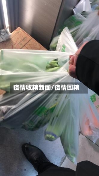 疫情收粮新闻/疫情囤粮
