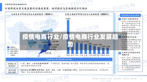 疫情电商行业/疫情电商行业发展趋势-第2张图片