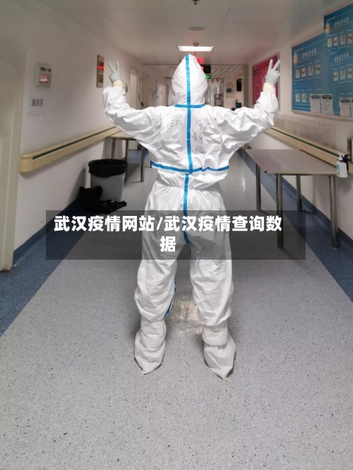 武汉疫情网站/武汉疫情查询数据