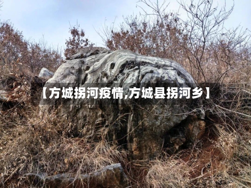 【方城拐河疫情,方城县拐河乡】-第3张图片