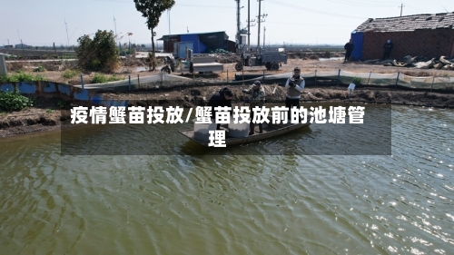 疫情蟹苗投放/蟹苗投放前的池塘管理