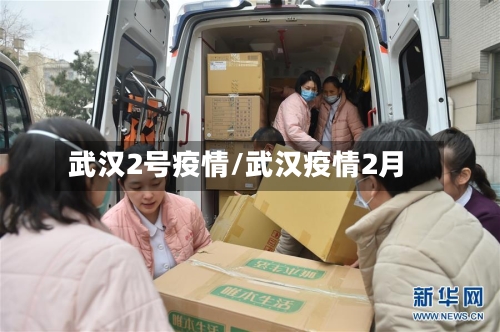 武汉2号疫情/武汉疫情2月-第2张图片