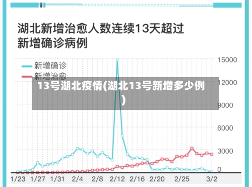 13号湖北疫情(湖北13号新增多少例)
