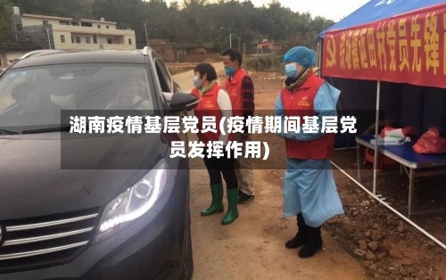 湖南疫情基层党员(疫情期间基层党员发挥作用)