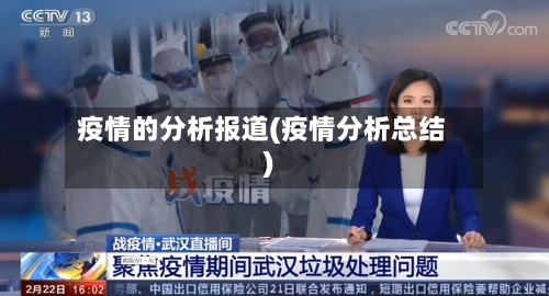 疫情的分析报道(疫情分析总结)