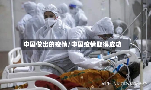 中国做出的疫情/中国疫情取得成功