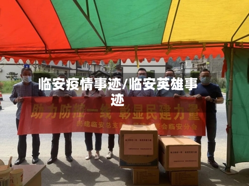 临安疫情事迹/临安英雄事迹-第2张图片