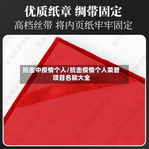 抗击中疫情个人/抗击疫情个人荣誉项目名称大全-第2张图片