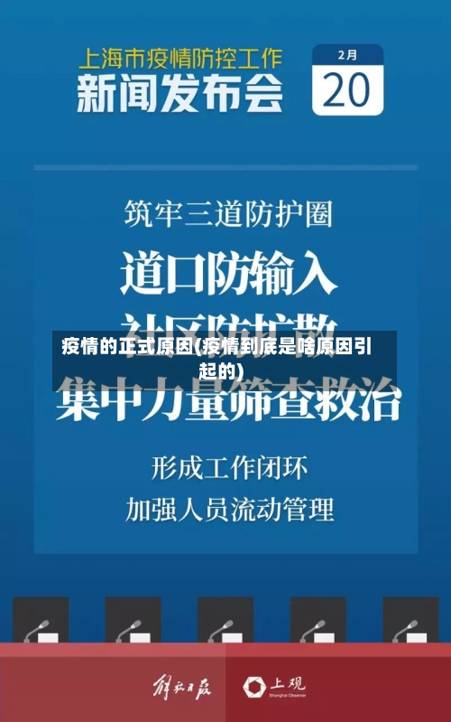 疫情的正式原因(疫情到底是啥原因引起的)-第2张图片