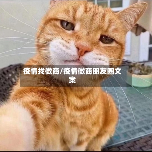 疫情找微商/疫情微商朋友圈文案