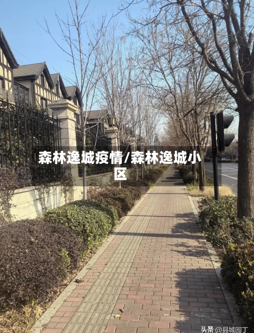 森林逸城疫情/森林逸城小区-第2张图片