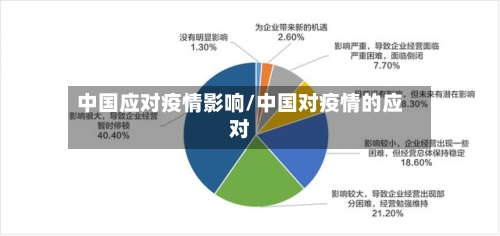 中国应对疫情影响/中国对疫情的应对-第2张图片