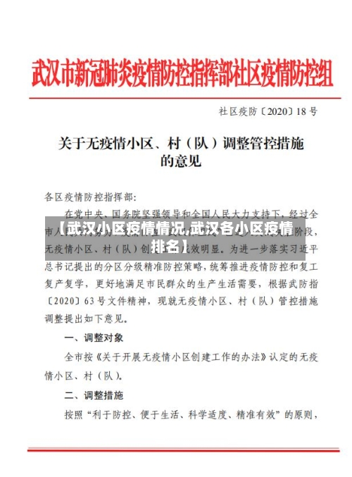 【武汉小区疫情情况,武汉各小区疫情排名】-第2张图片