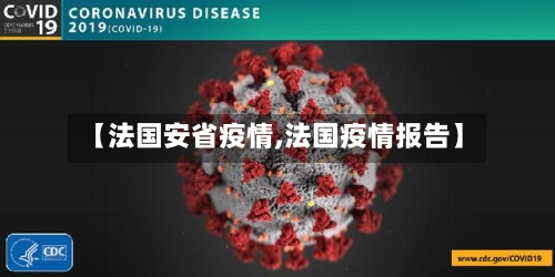 【法国安省疫情,法国疫情报告】-第3张图片